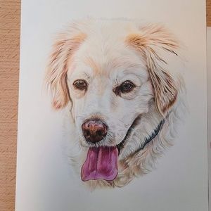 Meet your Posher, Steven